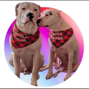 Meet your Posher, Louise